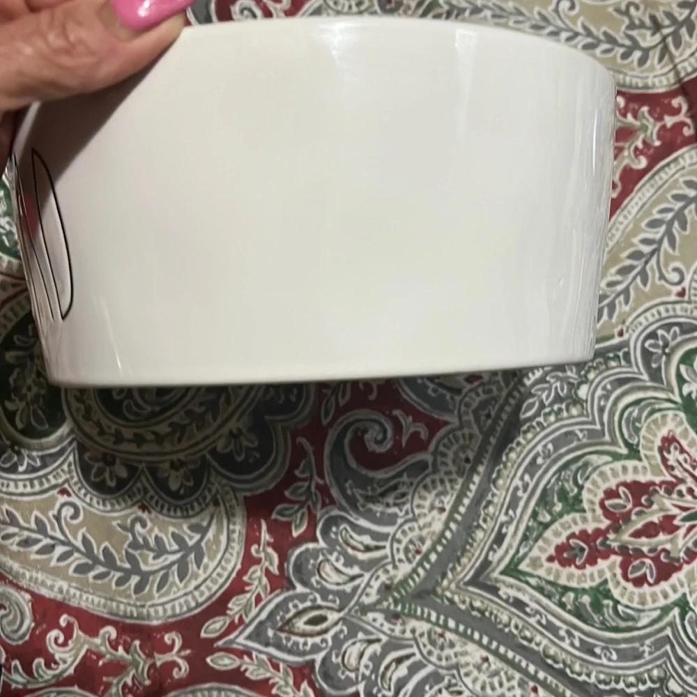 Rae Dunn Holiday dog bowl